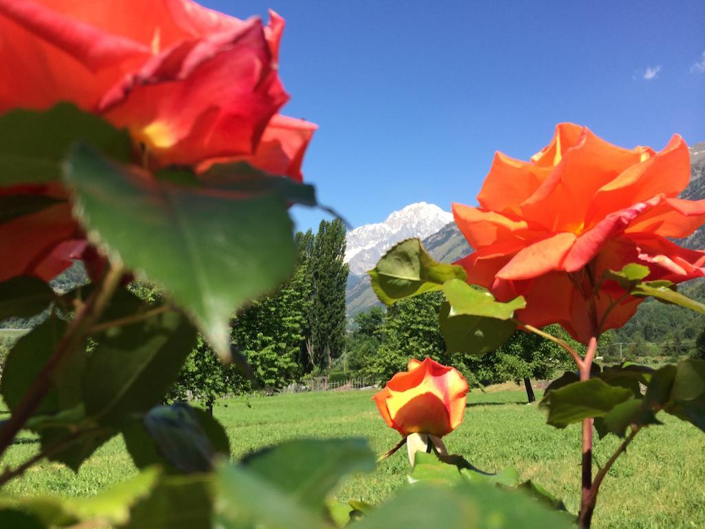 Villamour Boutique Hotel & Spa La Salle Dış mekan fotoğraf