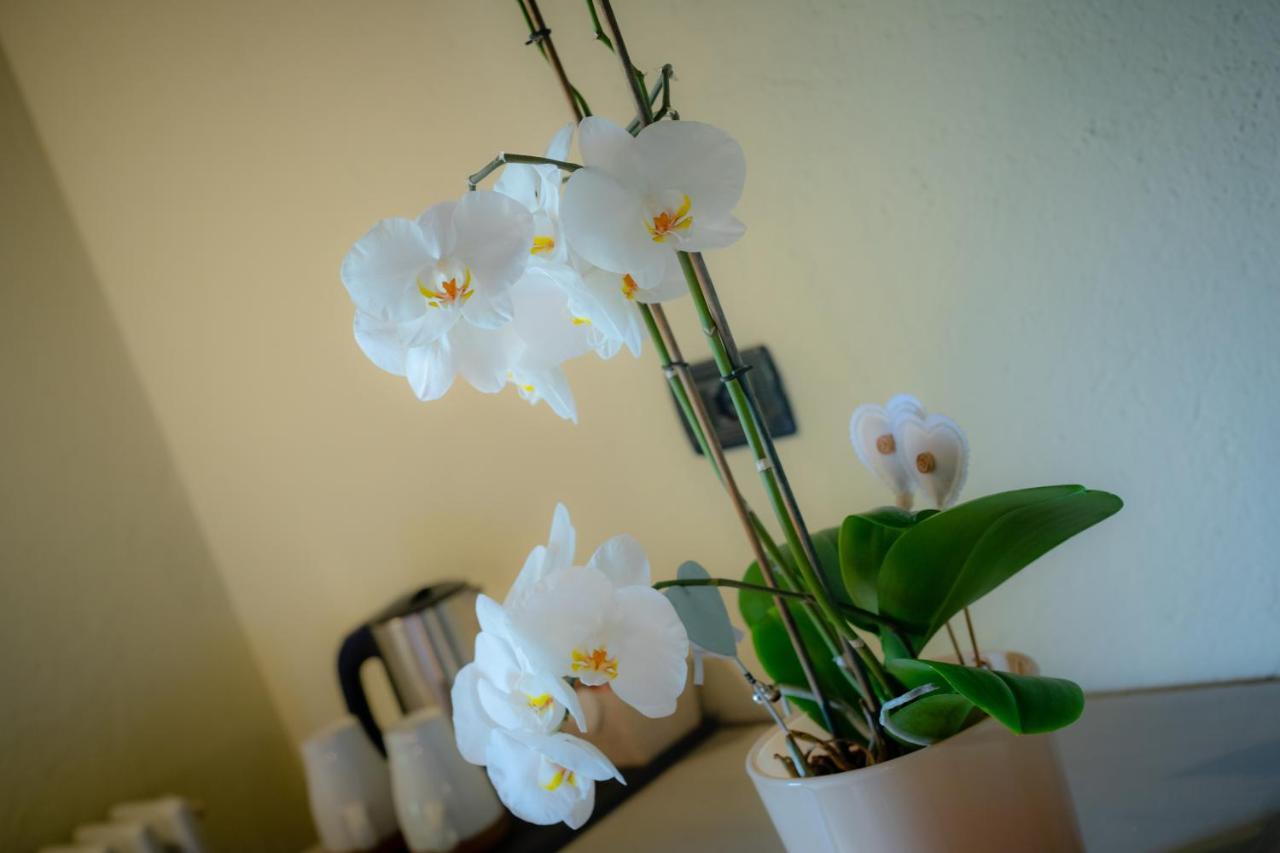 Villamour Boutique Hotel & Spa La Salle Dış mekan fotoğraf